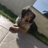 manoncorrochano5