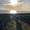 mairtin503