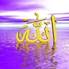 abbasmnbvcxz
