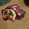 leah.the.cat.and.friends