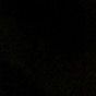 ashleigh_bourque