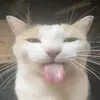 elizabeth_5601__