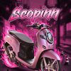 .malpinnn