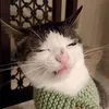 chunchunmaruon