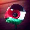 madiha2347