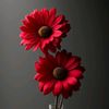 sawasmhamad79gmail.com