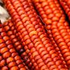 orangecorn1