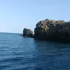 myriam9638