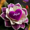 od7andl