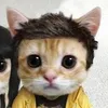 user_naoencontrad8
