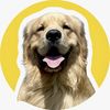 ike_thegolden