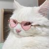 _lovleycat