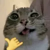 klendyy6