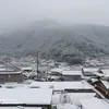 lagitekojepang