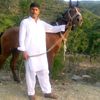 tanveerawantanv