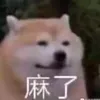 rok_feri