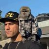 wisemonkey43