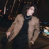 Ventes 梵提斯