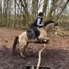 equinemaja