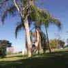 calita_5