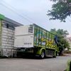 amiril203