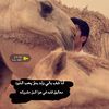 1bkad