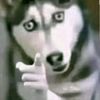 leovidass