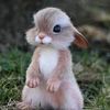 user90712950chino