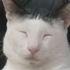 khalifa.ryu