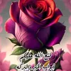 userh67z7ab3mh