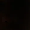 zoo_93z