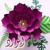 aliseds5