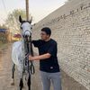 sabryhamza0