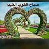 faris93121