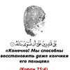 user3217361540443