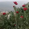 usernn0w0a1ikz