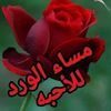 user5vhy8xke2s