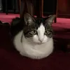 sunaina_r10