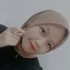 anisakun