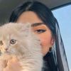 بلوقر مرام قليص ♥️..