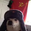sovietdoggo