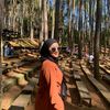 dhiansp_