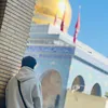 مصطفى سعد