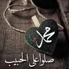 mohamedalsaady08