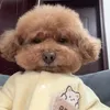 khanhlyxinhiu_