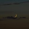 naad_322