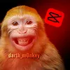 darth_m0nkey