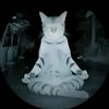 ghost_cat07