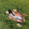 Camellia.dreamer