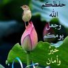 user3760032998557